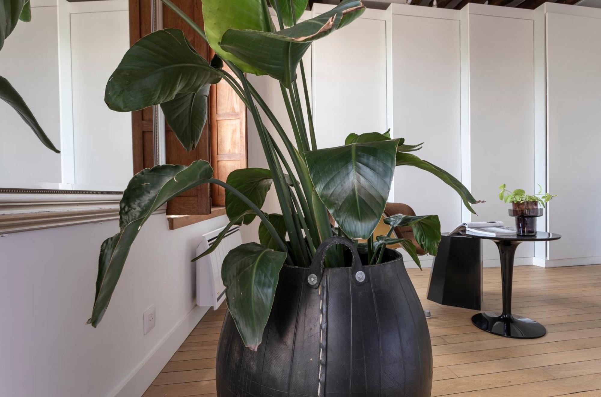 Appartement Notre-dame Stunning 2 Bedroom Air Conditioned Flat
